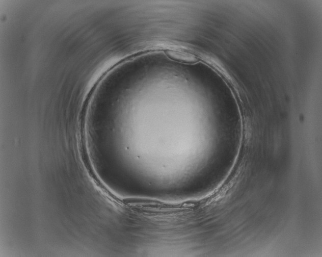 X0000070211048200605301357