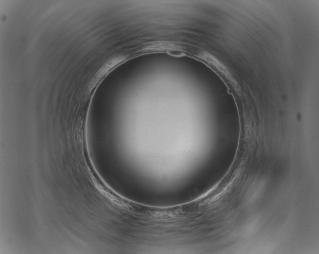 X0000070211049200605301357