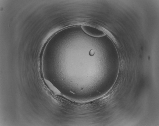 X0000070211051200605301357