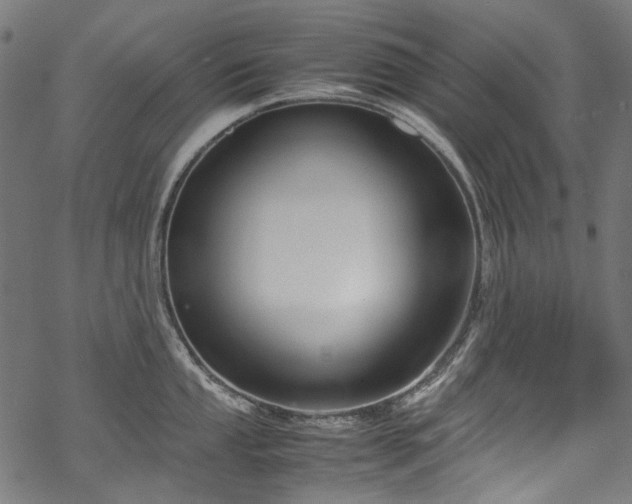 X0000070211053200605301357