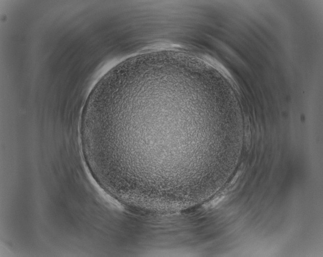 X0000070211055200605301357