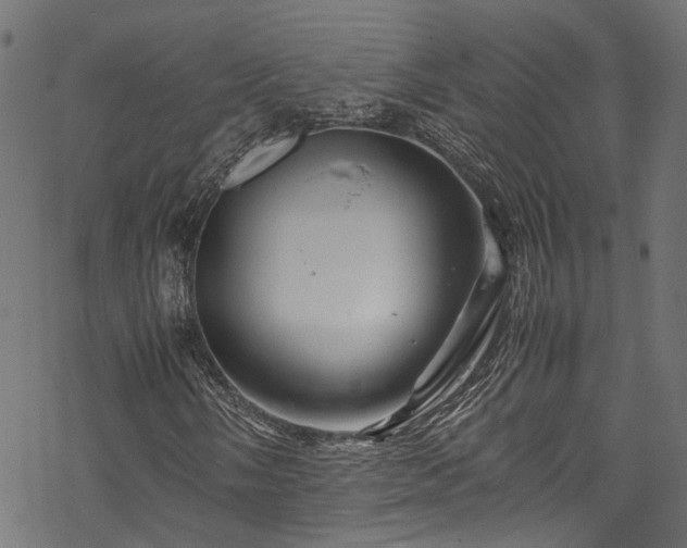 X0000070211058200605301357