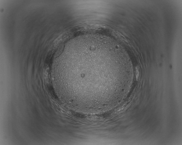 X0000070211059200605301357