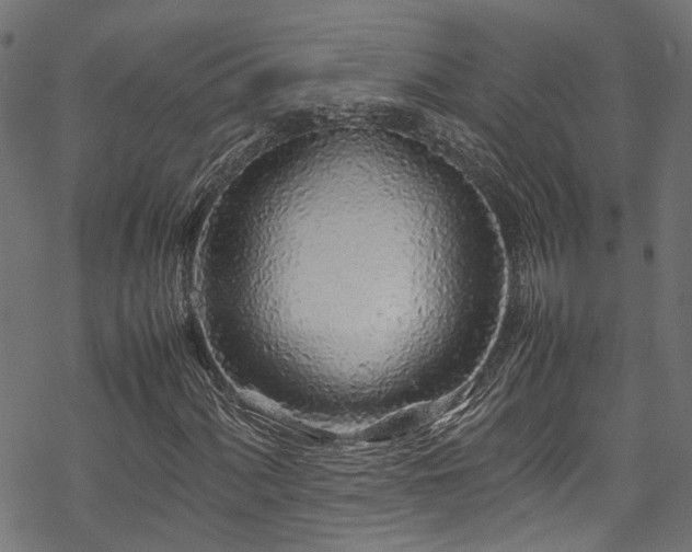 X0000070211060200605301357