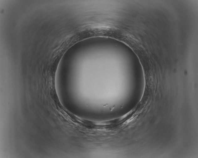 X0000070211061200605301357