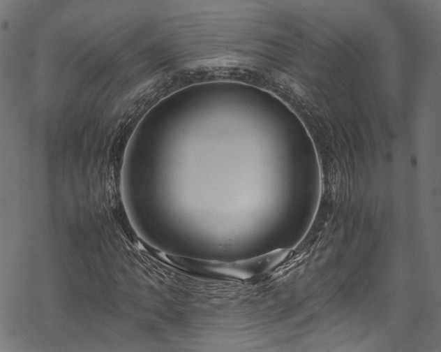 X0000070211062200605301357