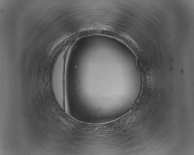 X0000070211064200605301357