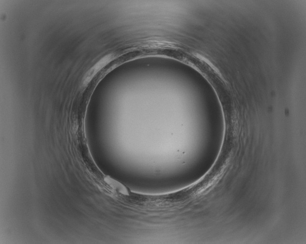 X0000070211065200605301357