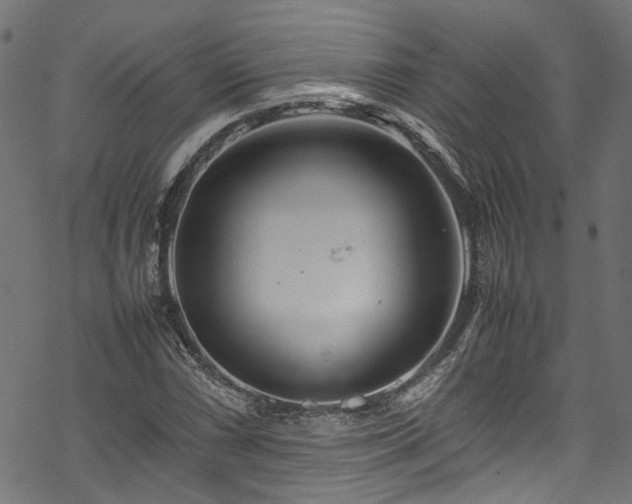 X0000070211066200605301357