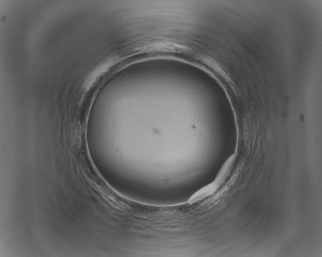 X0000070211067200605301357