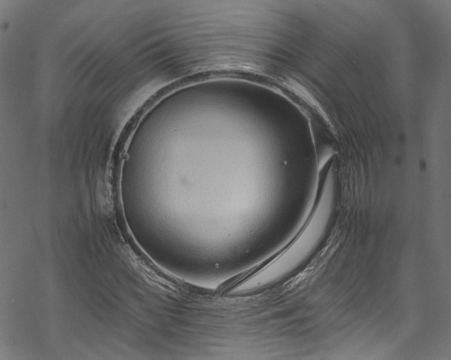 X0000070211068200605301357