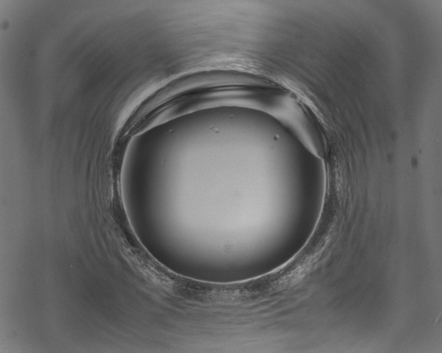 X0000070211069200605301357