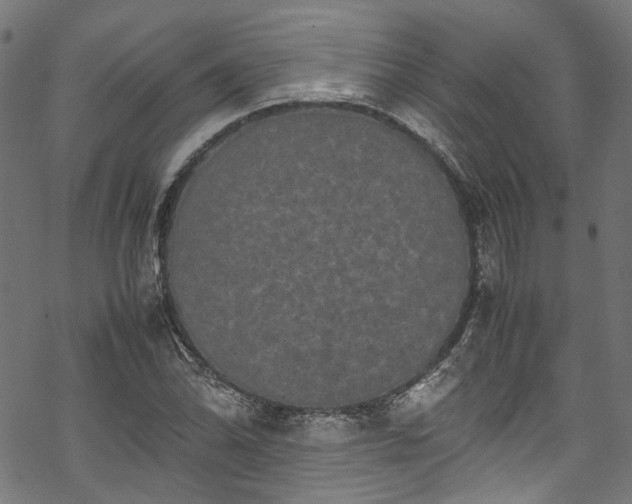 X0000070211070200605301357