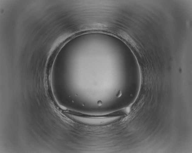 X0000070211072200605301356