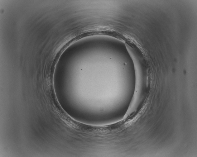 X0000070211073200605301356