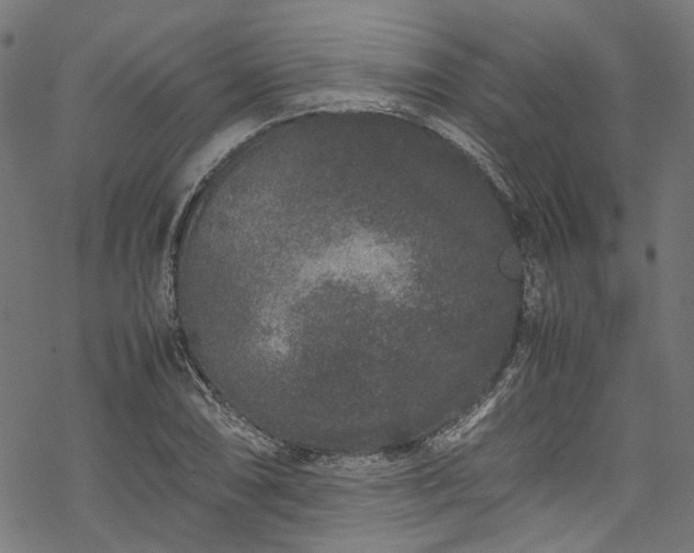 X0000070211074200605301356