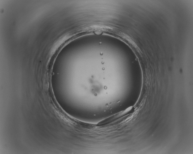 X0000070211075200605301356