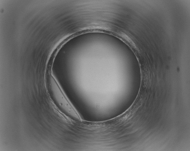 X0000070211076200605301356