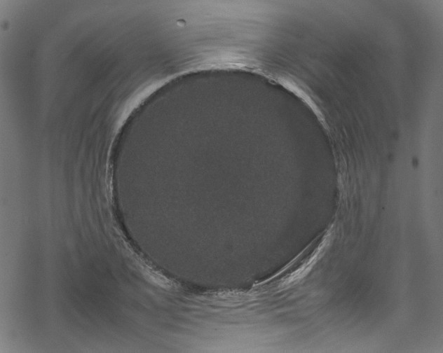 X0000070211077200605301356