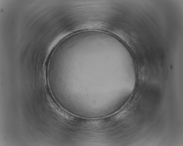 X0000070211078200605301356