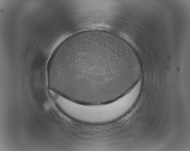 X0000070211079200605301356