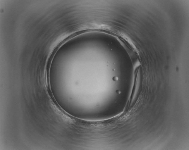 X0000070211080200605301356