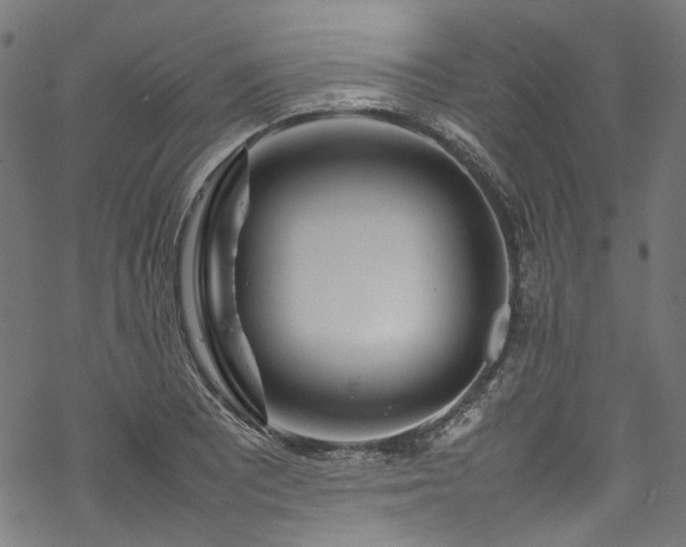 X0000070211081200605301356