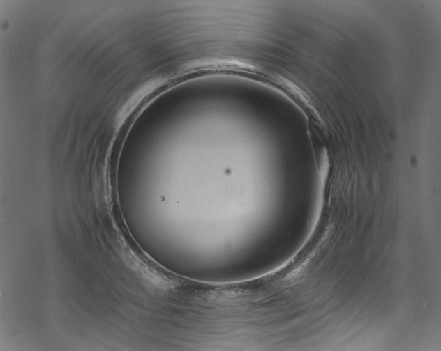 X0000070211082200605301356