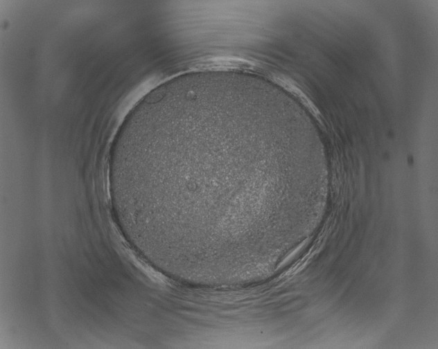 X0000070211083200605301356