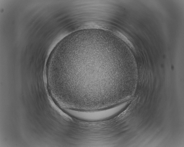 X0000070211084200605301356