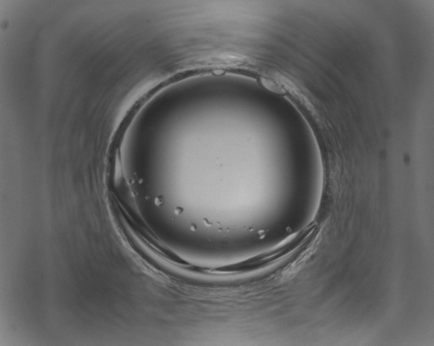 X0000070211085200605301356