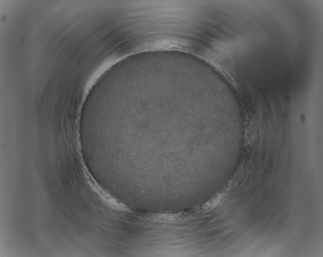 X0000070211086200605301356