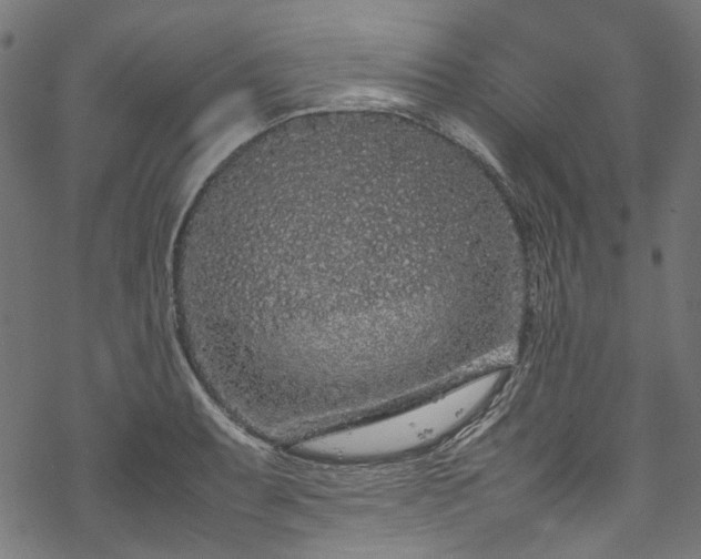 X0000070211087200605301356