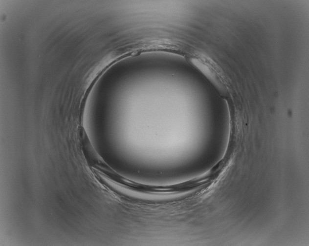 X0000070211089200605301356