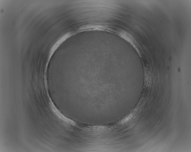 X0000070211090200605301356