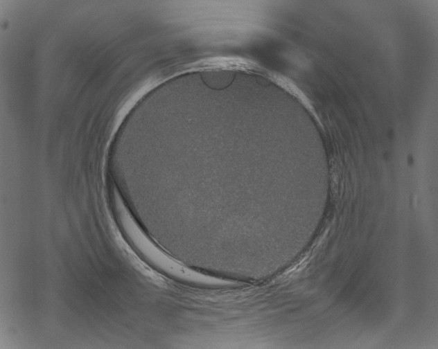 X0000070211091200605301356