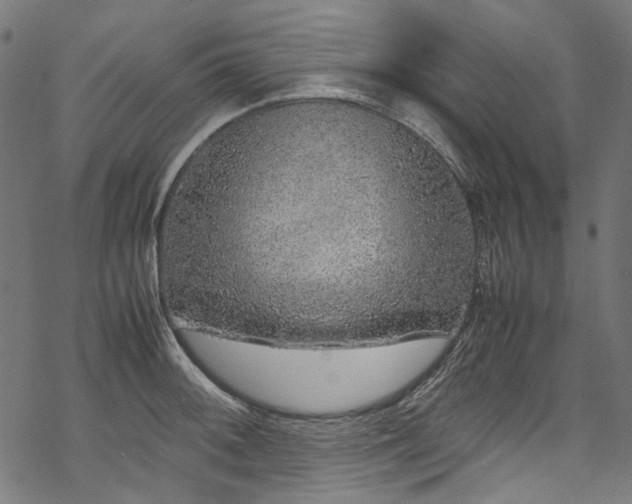 X0000070211092200605301356