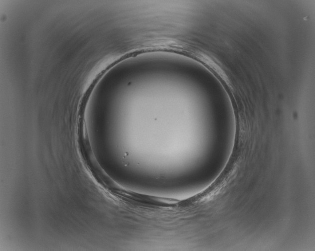 X0000070211093200605301356