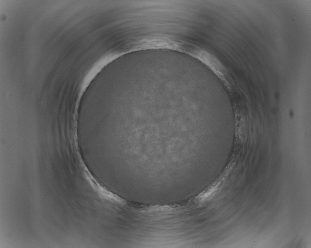 X0000070211094200605301356