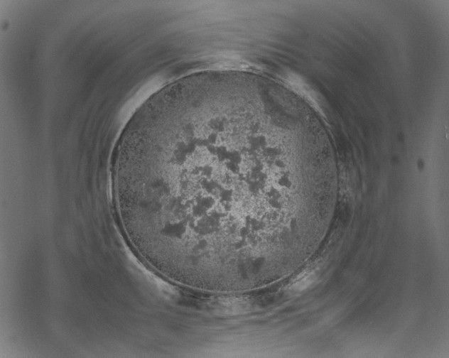 X0000070211095200605301356