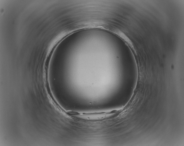 X0000070211096200605301356