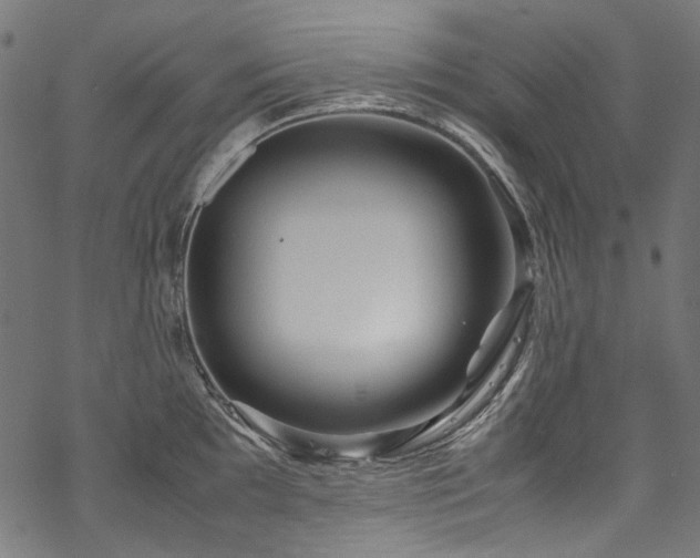 X0000070211097200605301356