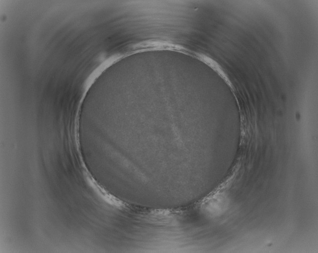 X0000070211098200605301356