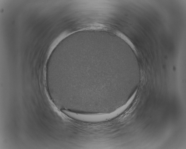 X0000070211099200605301356