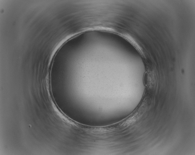 X0000070211100200605301356