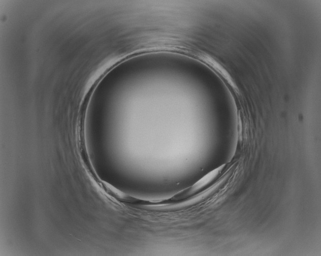 X0000070211101200605301356