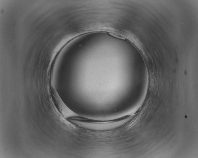 X0000070211102200605301356