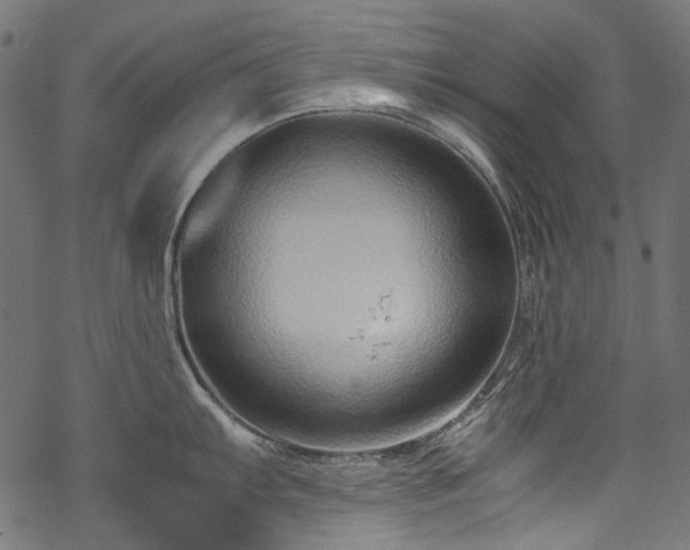 X0000070211103200605301356