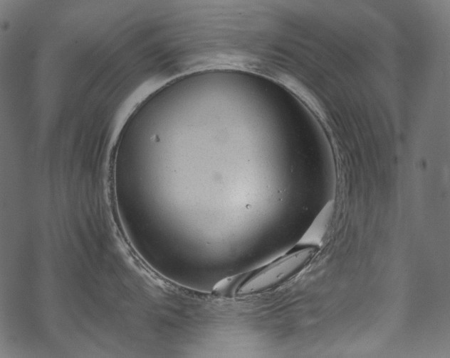 X0000070211104200605301356