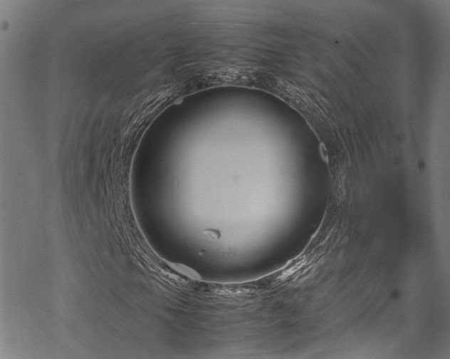 X0000070211105200605301355